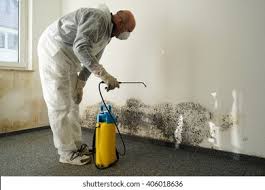 Trusted Phillips, WI Mold Prevention & Removal  Experts